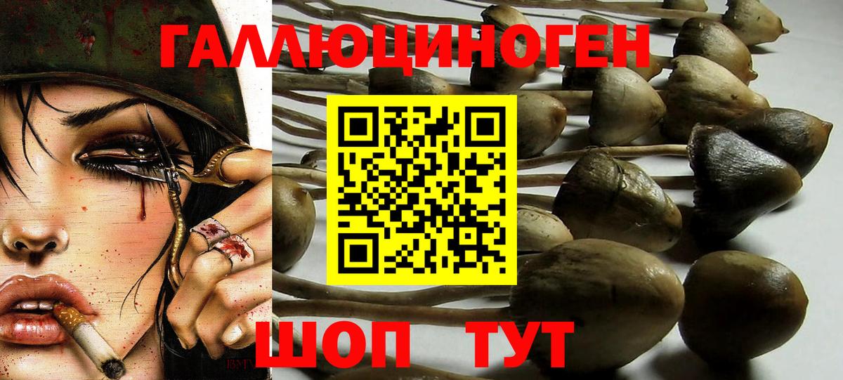 Галлюциногенные грибы Psilocybine cubensis  Галлюциногенные грибы ЛСД  Вход с VPN  Канаш 