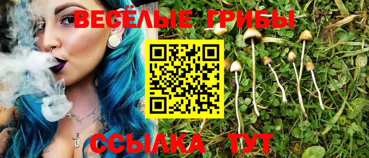 Галлюциногенные грибы Magic Shrooms Канаш